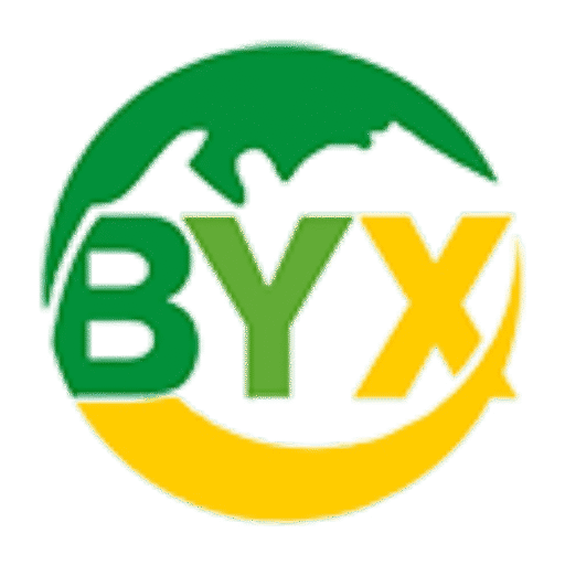 cropped-BAIYEXINLOGO125-125.png BAIYEXINLOGO