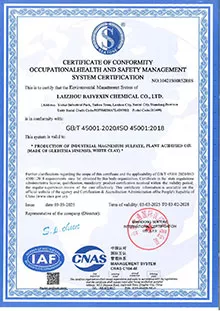 ISO 45001